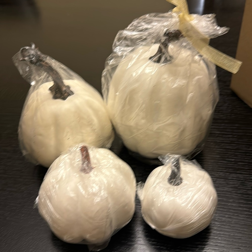 Total 24 pumpkins to paint or for decorations
